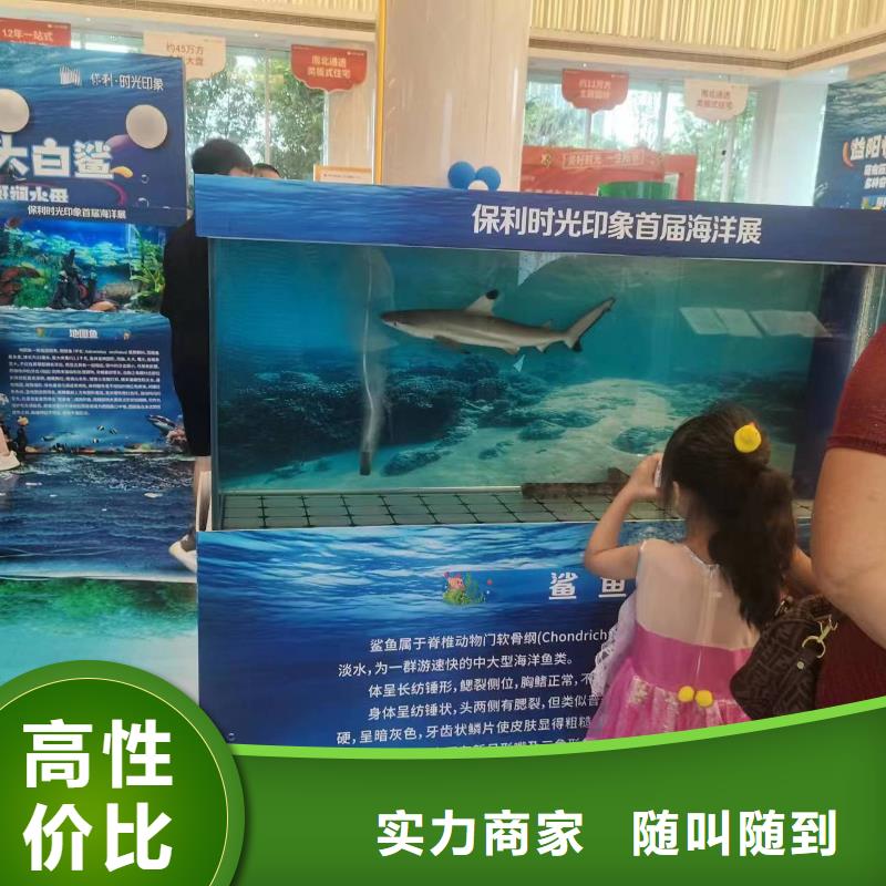 企鹅出租咨询享优惠