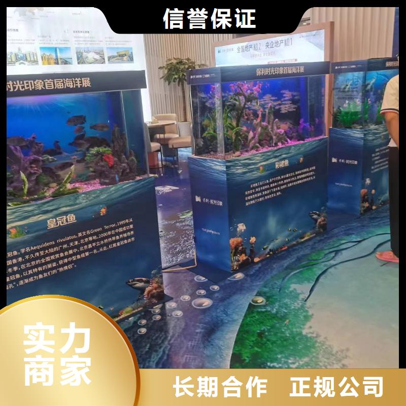 帝企鹅 优势特点