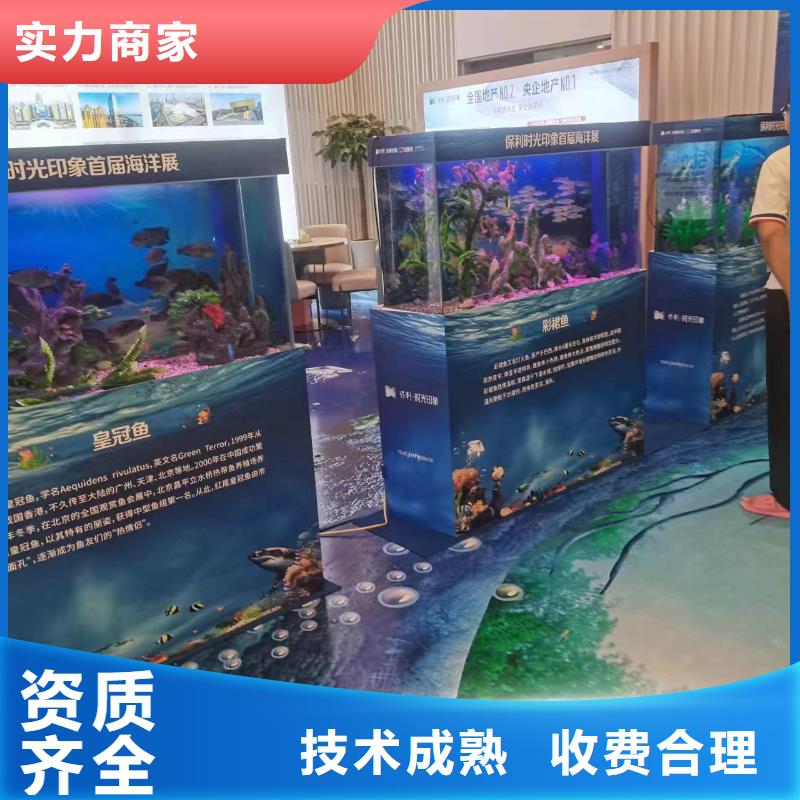 企鹅出租咨询享优惠