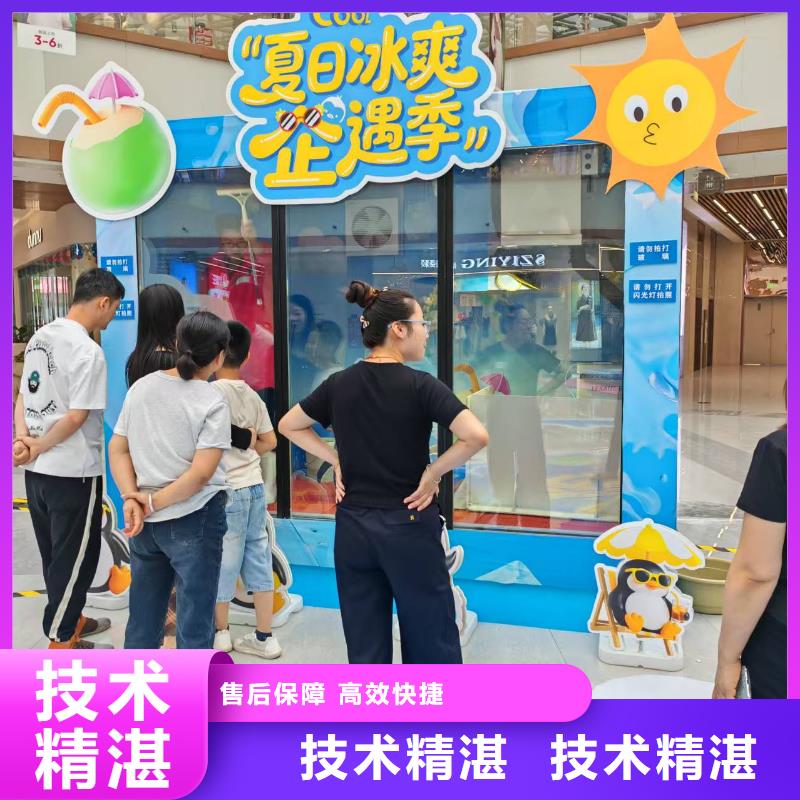 厂家批量供应巴布亚企鹅