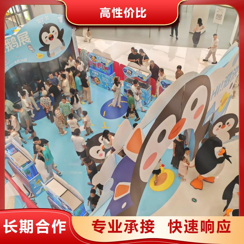 资讯:帽带企鹅生产厂家