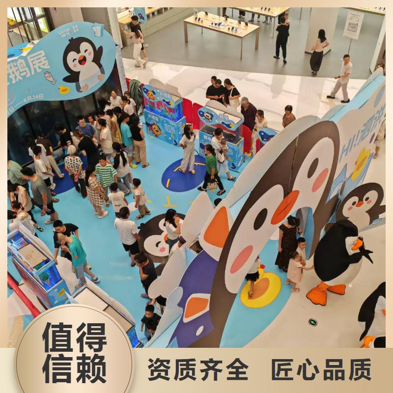 帝企鹅 发货就是快