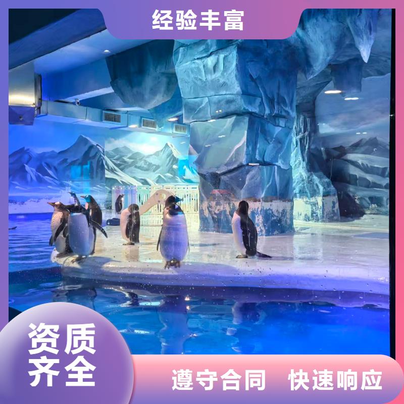 企鹅展览企业-可接大单