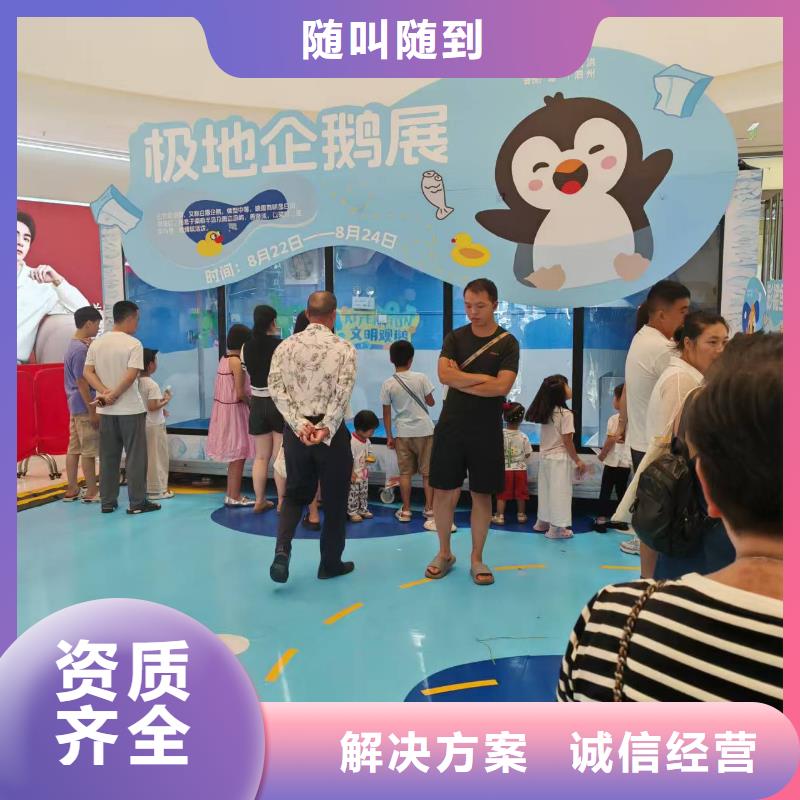 资讯:帽带企鹅生产厂家