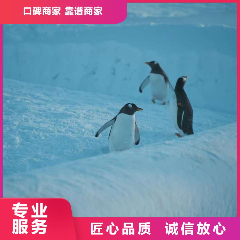 巴布亚企鹅_巴布亚企鹅有限公司