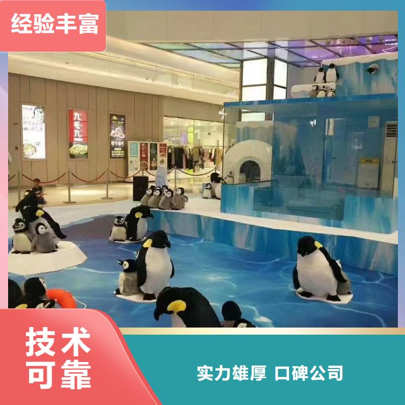 企鹅出租优质厂家