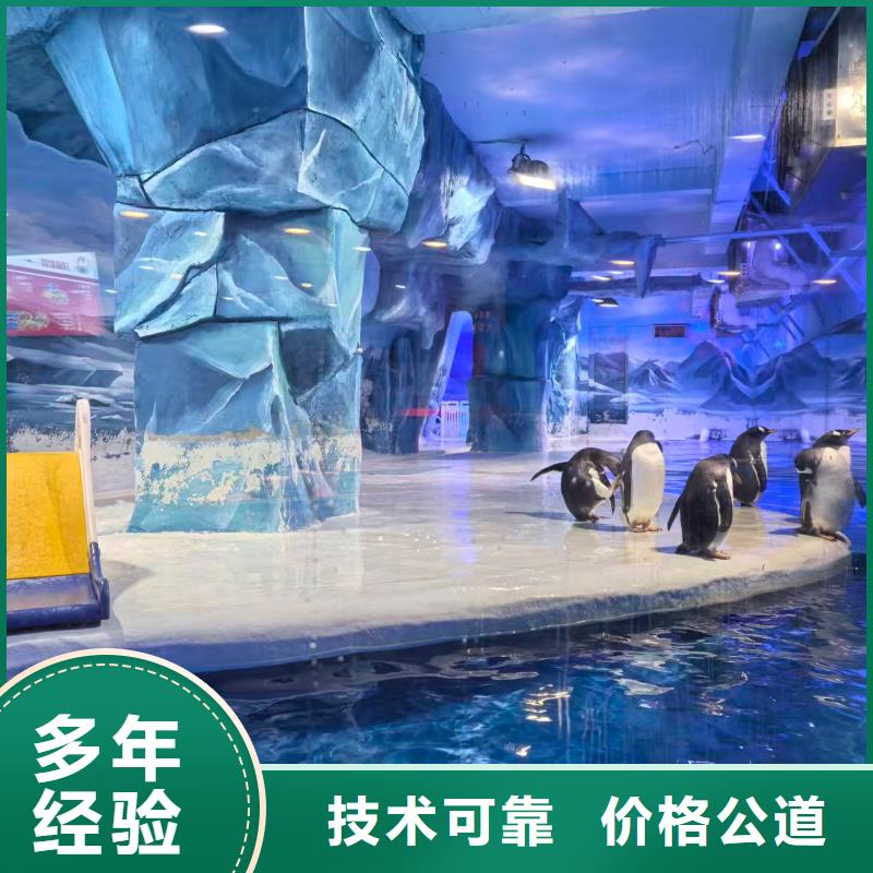 帝企鹅 优势特点