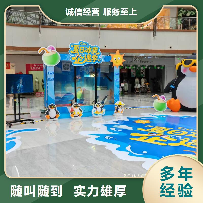 库存充足的企鹅展览销售厂家