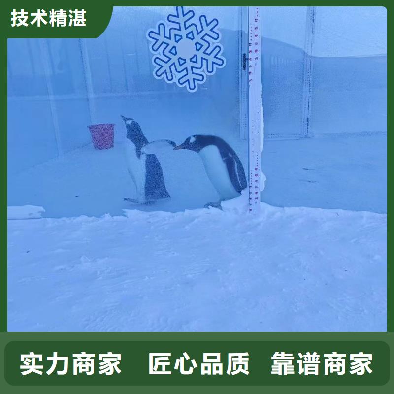 库存充足的企鹅展览销售厂家
