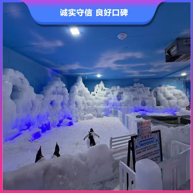 厂家批量供应巴布亚企鹅