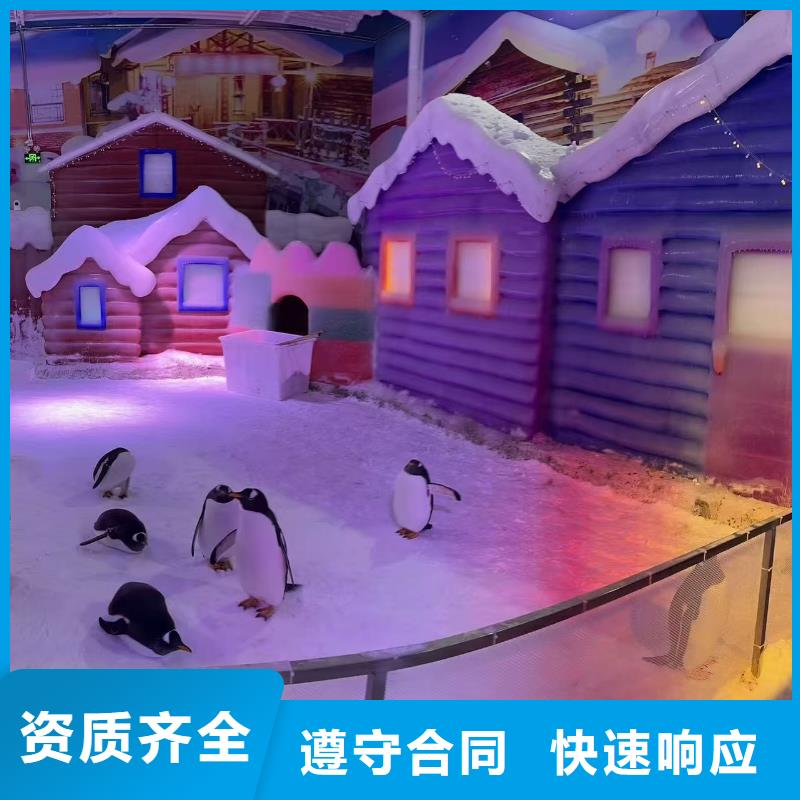 企鹅展览让利促销