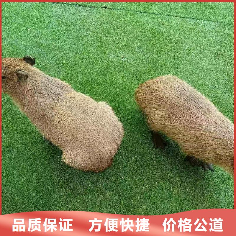 泳池 优质生产厂家