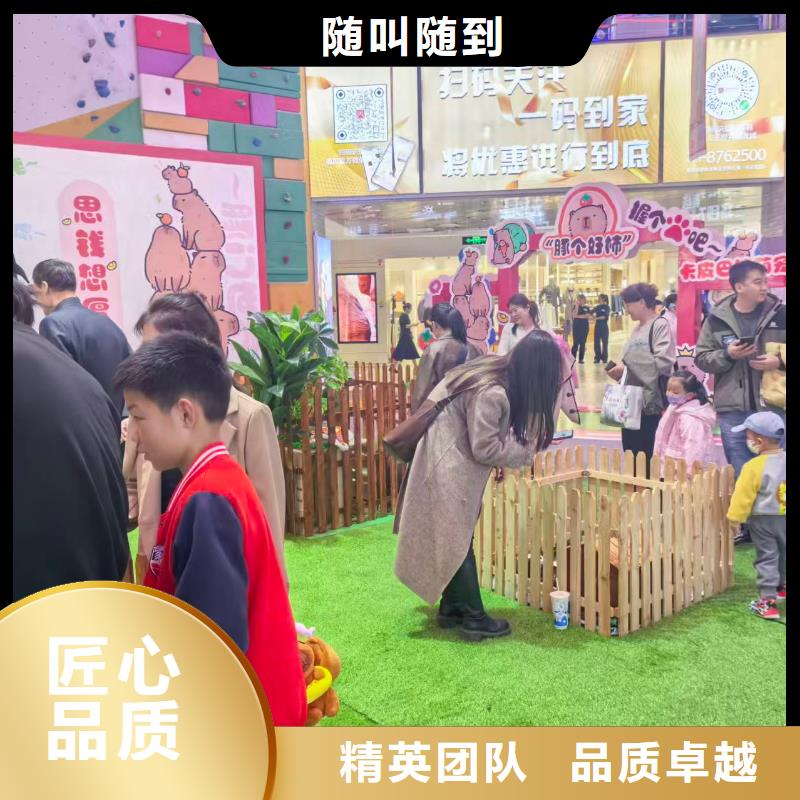 卡皮巴拉租赁供货商