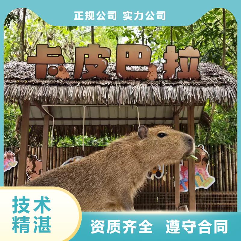 商场暖场公司发货快