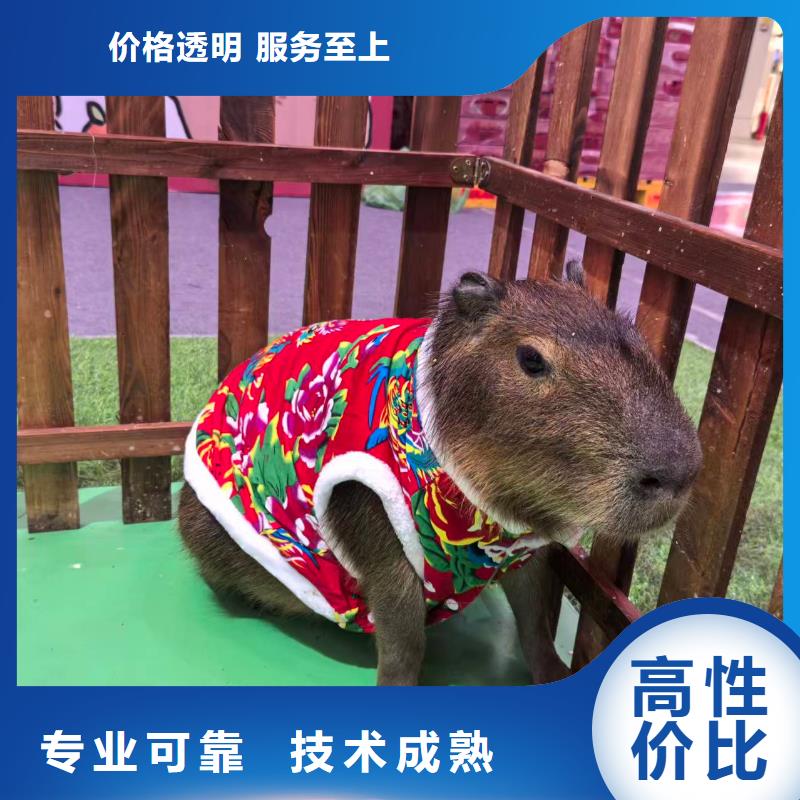 商场暖场公司发货快