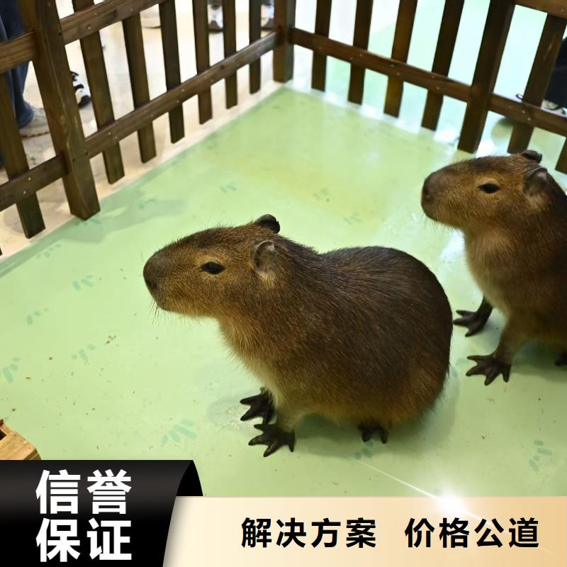 泳池 优质生产厂家