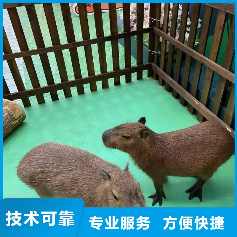 企业团建定制-厂家直销