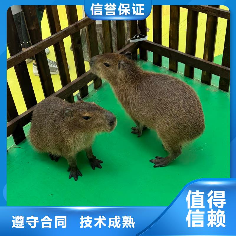 企业团建定制-厂家直销