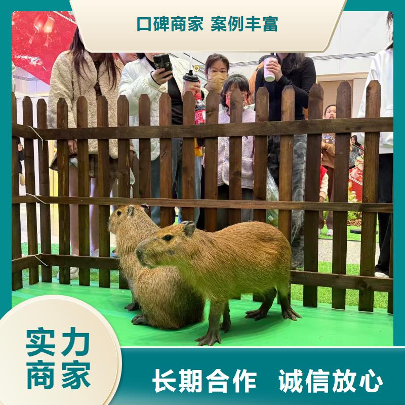 出租优势生产厂家-发货及时