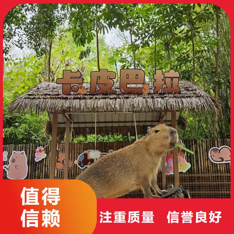 出租优势生产厂家-发货及时