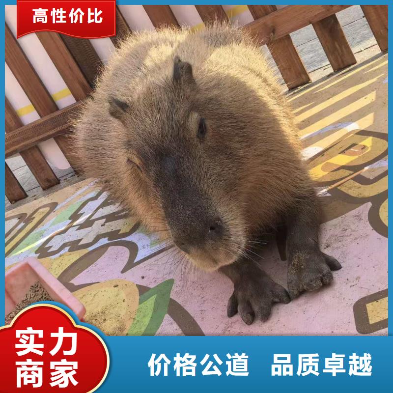 企业团建定制-厂家直销