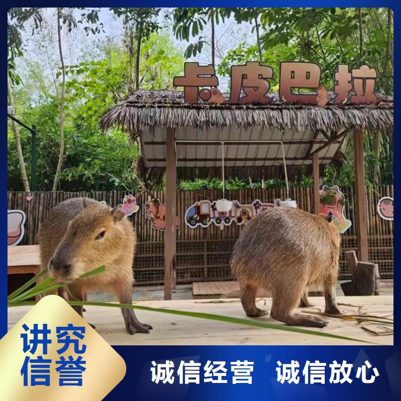 企业团建原厂定做