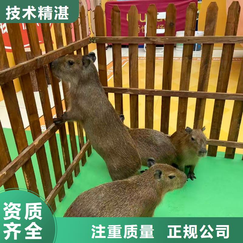 泳池 优质生产厂家