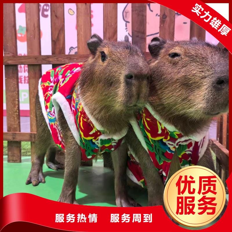 企业团建定制-厂家直销