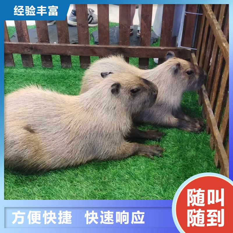 采购检疫标准必看-图文介绍