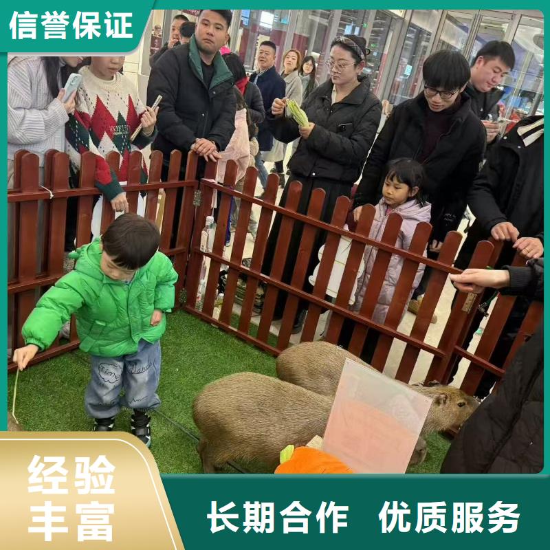 泳池 优质生产厂家