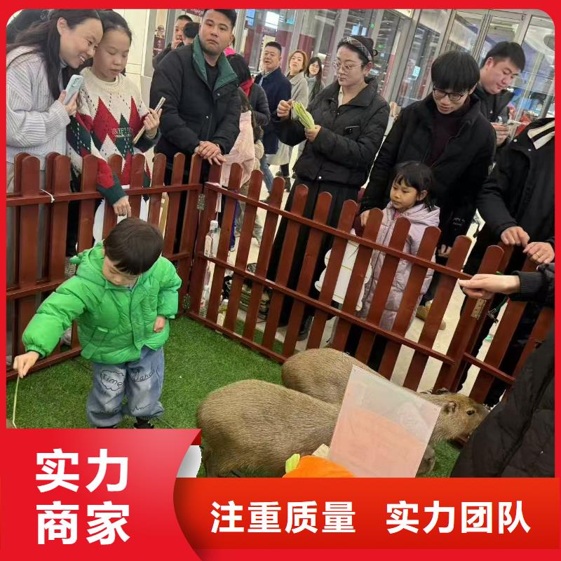 泳池 优质生产厂家