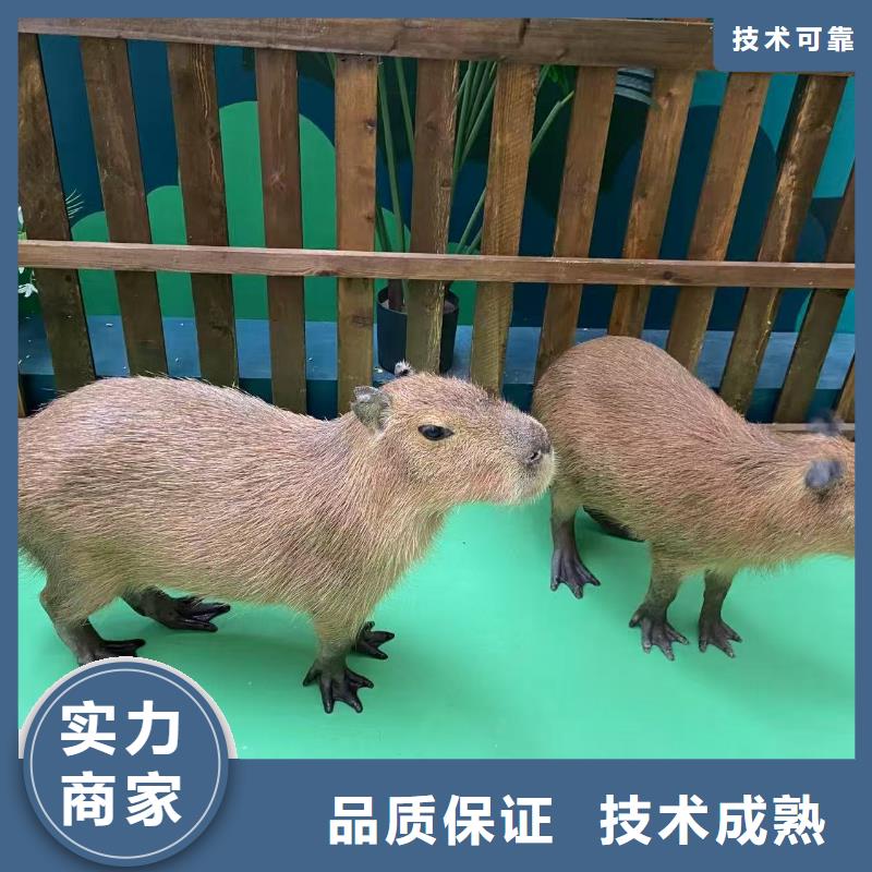 定做出租的生产厂家