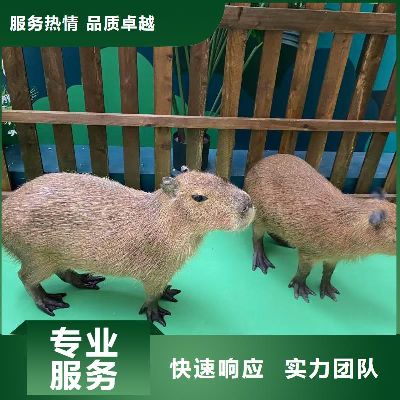 泳池 优质生产厂家