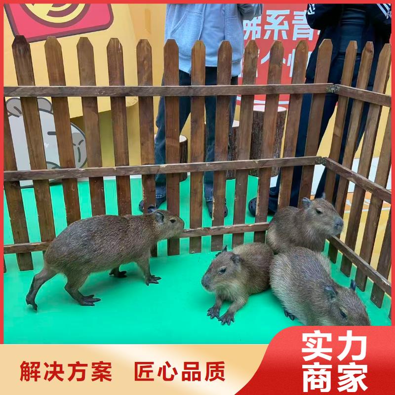 采购检疫标准必看-图文介绍