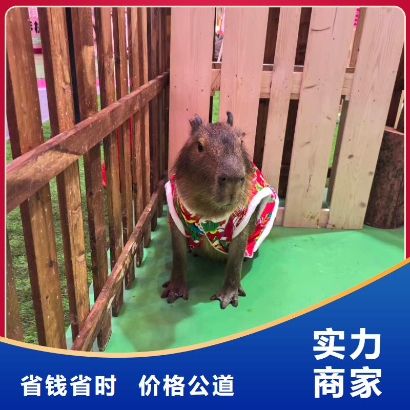 策划企业-质量过硬