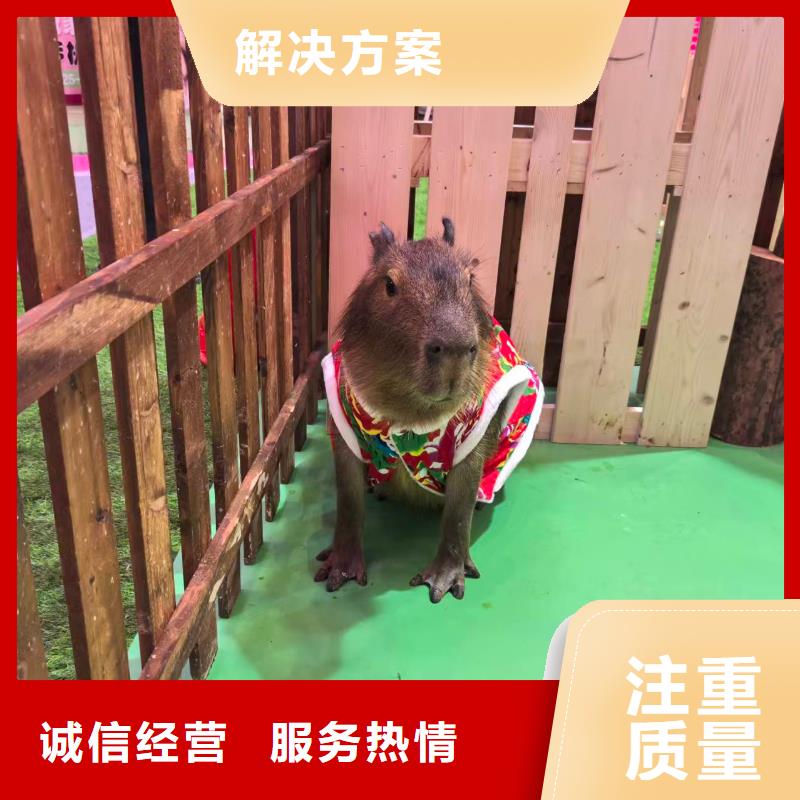 定做出租的生产厂家