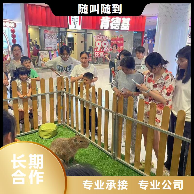 策划企业-质量过硬