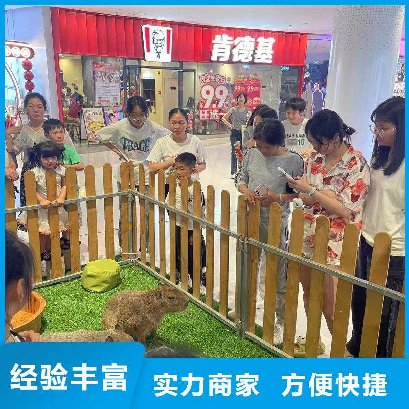 定做出租的生产厂家