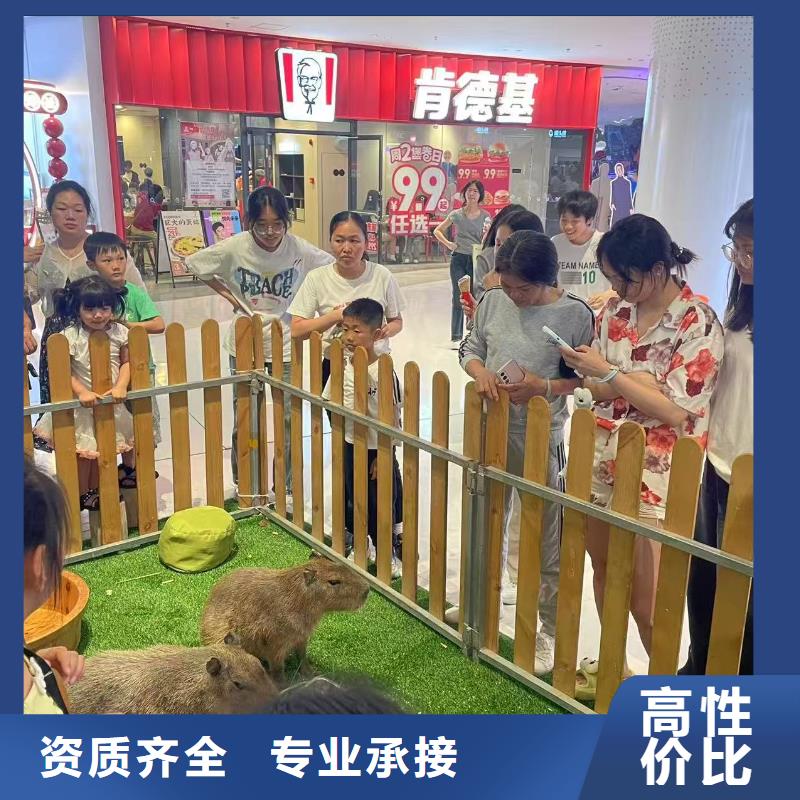 饲养员施工厂家