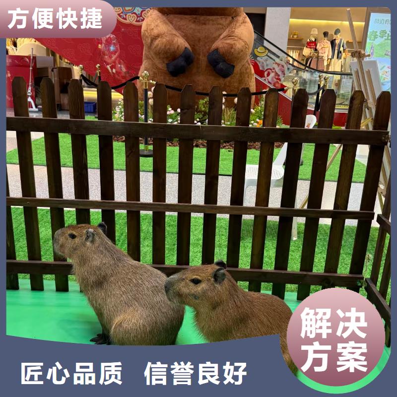 检疫标准原厂定做