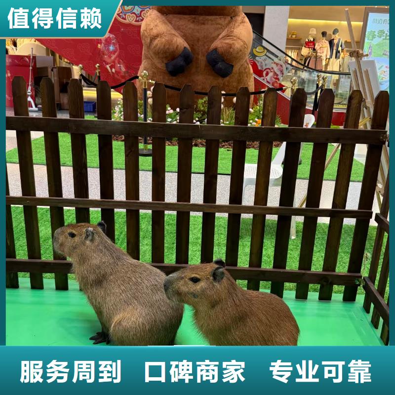 策划企业-质量过硬