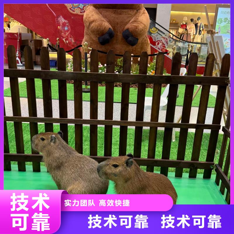 饲养员施工厂家