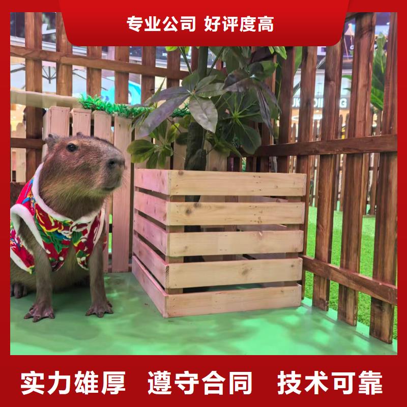 检疫标准原厂定做