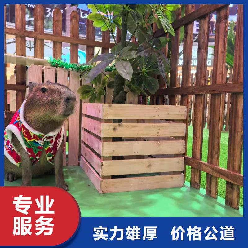 策划企业-质量过硬