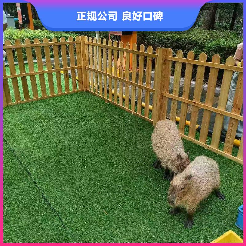 饲养员施工厂家