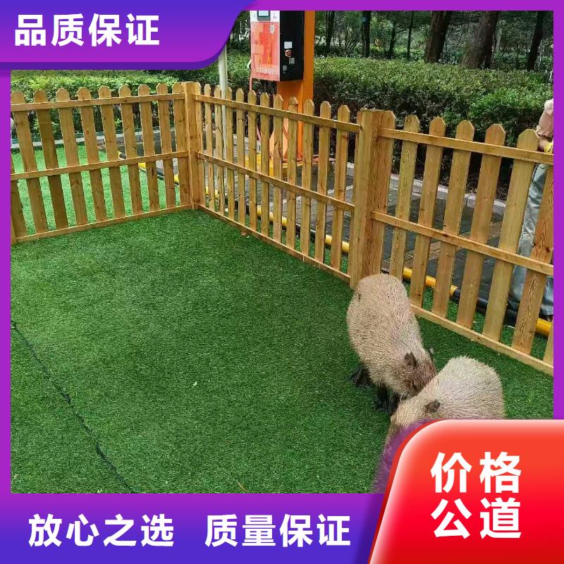 检疫标准原厂定做