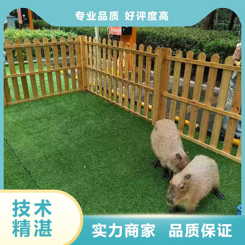 供应批发养殖基地-保量