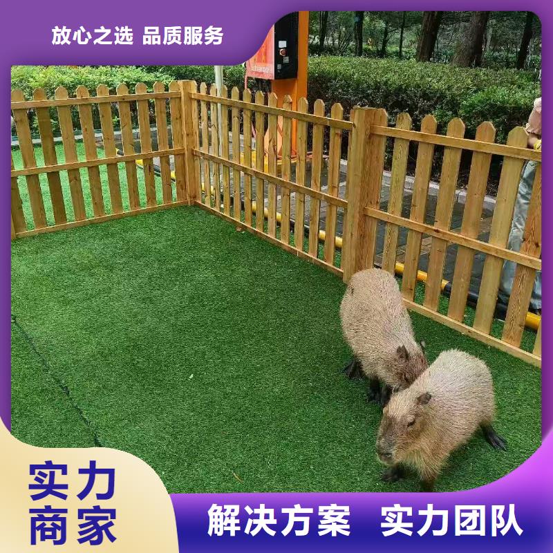 策划企业-质量过硬