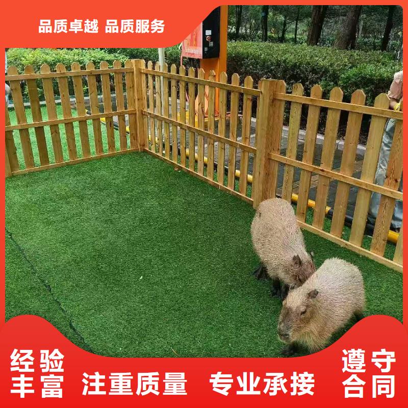 采购检疫标准必看-图文介绍