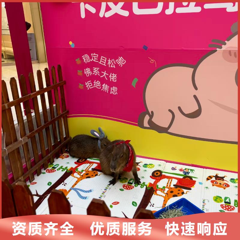 靠谱的检疫标准公司